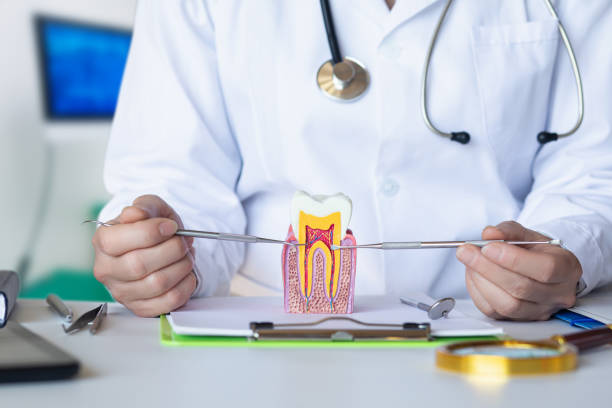Best Cracked Tooth Emergency Dentist  in Maypearl, TX